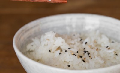 japonica rice