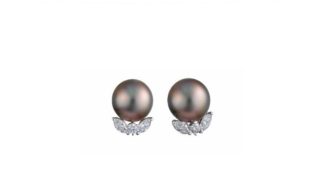 larry jewellery earrings