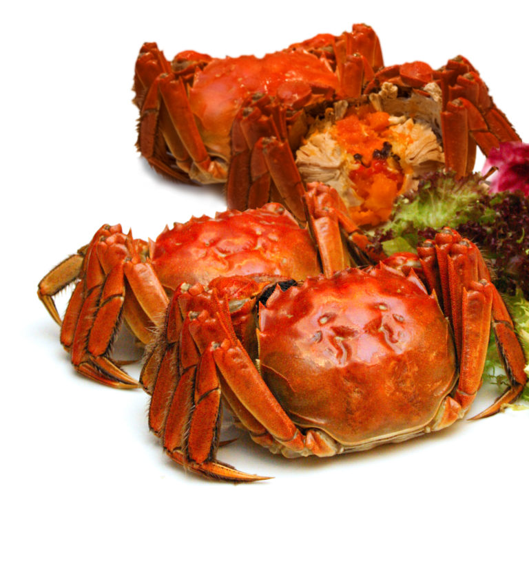 Grand Mercure Presents A Hairy Crab Fiesta and Seafood Feast