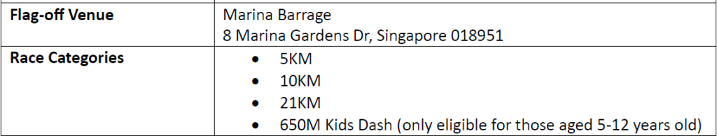 lazada run singapore