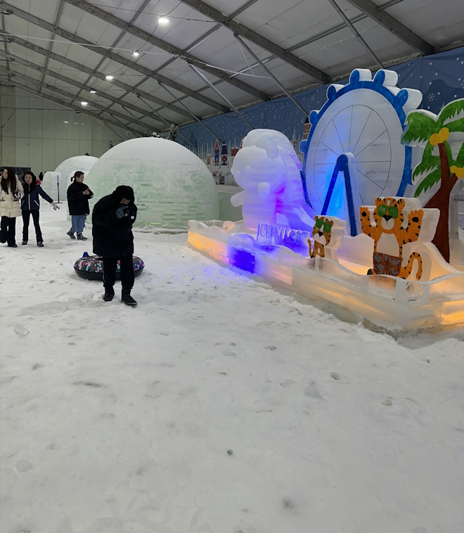 Ice Magic: Winter Wonderland